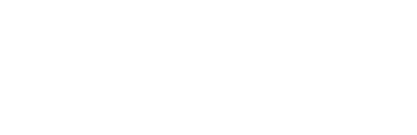 Secure The Ballot Box